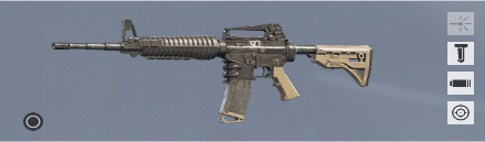AR-15.50