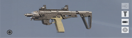 P10 Roni