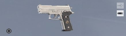 P229