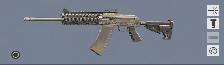 Sasg-12