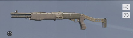 Spas-12